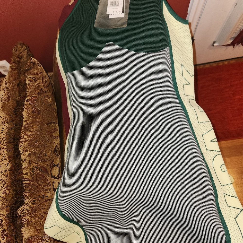 Adidas Ivy Park dress